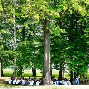 STRONA_WWW114