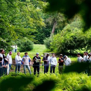 STRONA_WWW178