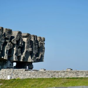 STRONA_WWW213