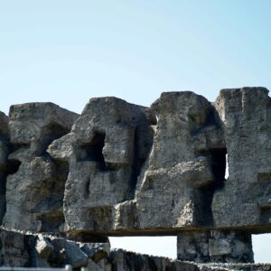 STRONA_WWW217